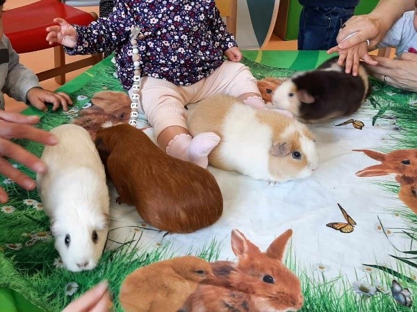 Atelier Nos amis à 4 pattes