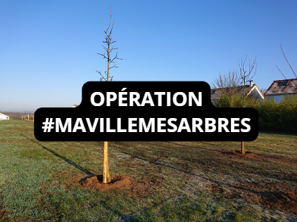 Lien vers la page Opération #MA VILLE MES ARBRES